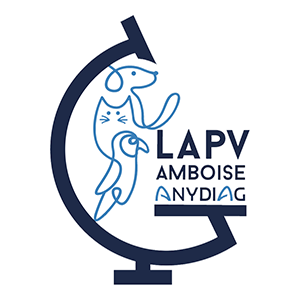 Logo de LAPV Amboise Anydiag